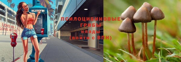 трава Билибино