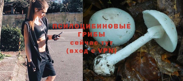 мескалин Нефтегорск