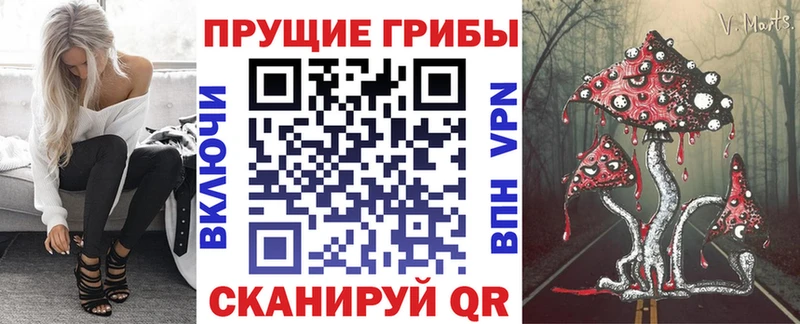Галлюциногенные грибы прущие грибы Циолковский