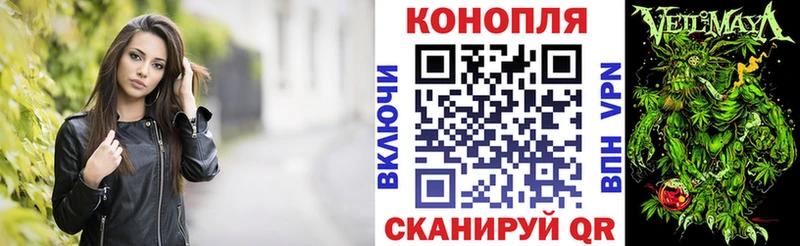 Бошки Шишки MAZAR  Циолковский 